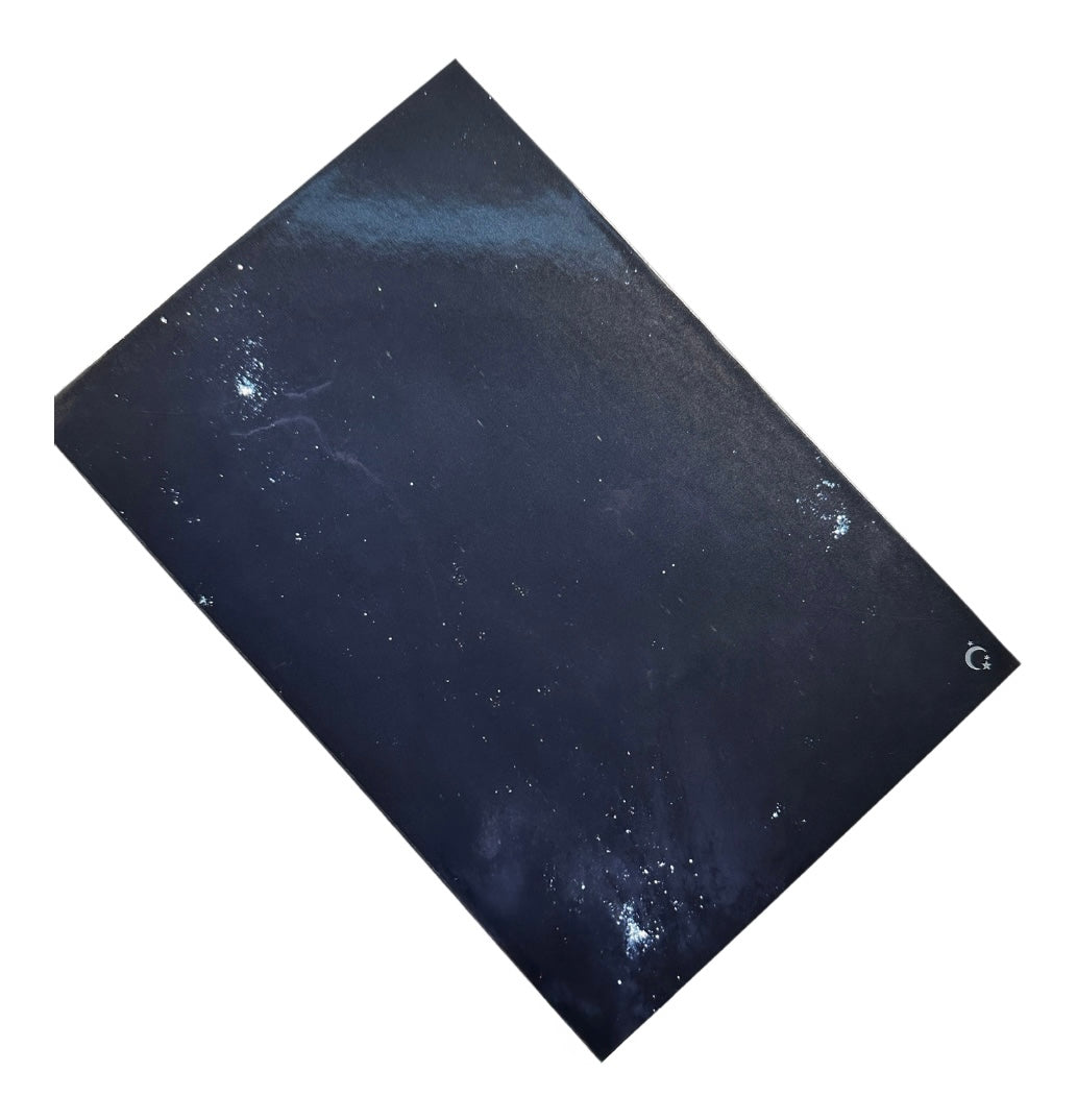 DEEP SPACE 40 PAN EMPTY MAGNETIC PALETTE - Terra Moons Cosmetics